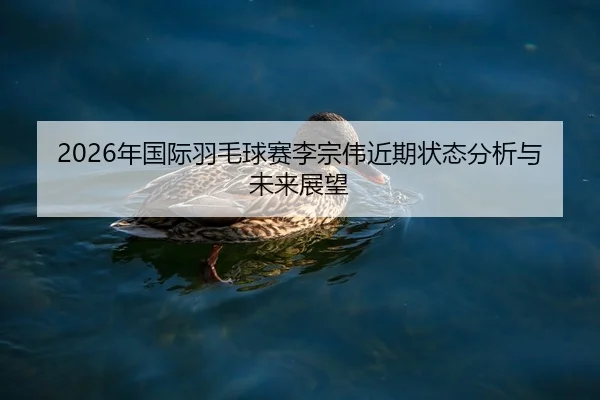 2026年国际羽毛球赛李宗伟近期状态分析与未来展望