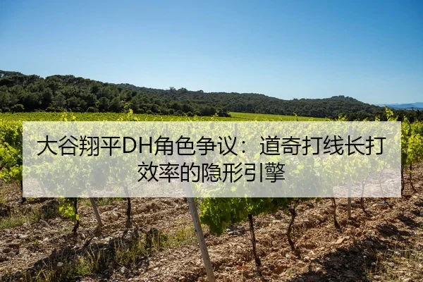 大谷翔平DH角色争议：道奇打线长打效率的隐形引擎