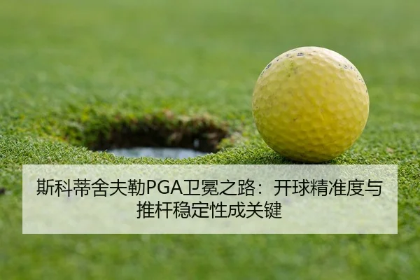 si-ke-di-she-fu-lei-wei-mian-zhi-lu-kai-qiu-jing-zhun-du-yu-tui-gan-wen-ding-xing-cheng-guan-jian-3-981.jpg