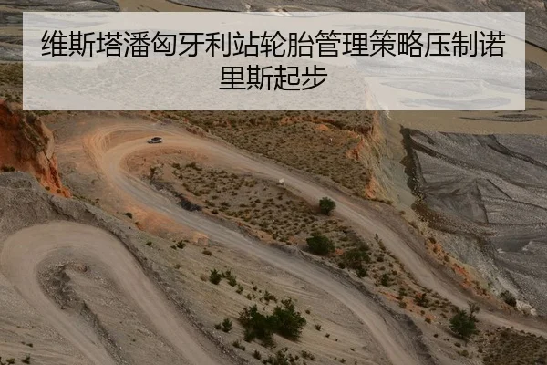维斯塔潘匈牙利站轮胎管理策略压制诺里斯起步