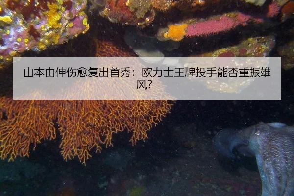 shan-ben-you-shen-shang-yu-fu-chu-shou-xiu-ou-li-shi-wang-pai-tou-shou-neng-fou-zhong-zhen-xiong-feng-3-110.jpg