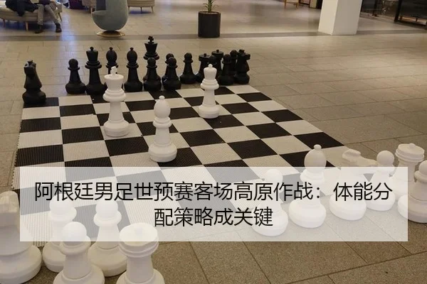 a-gen-ting-nan-zu-shi-yu-sai-ke-chang-gao-yuan-zuo-zhan-ti-neng-fen-pei-ce-lve-cheng-guan-jian-3-917.jpg