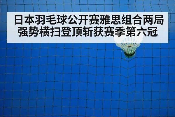 badminton net play